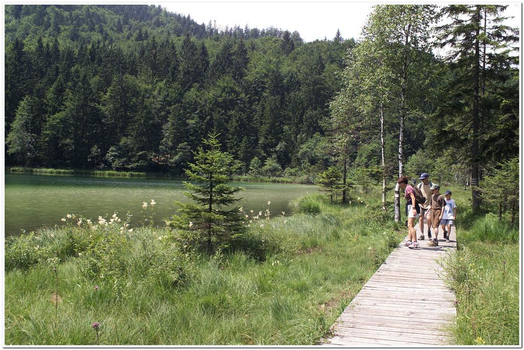 Aktivhotel & Gasthof Schmelz Ihr Urlaubs Hotel In Inzell Mit Wellness Hallenbad, Alpensauna & Dampfbad Exterior foto